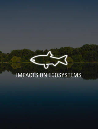 Impacts on Ecosystems with fish icon and landscape in background