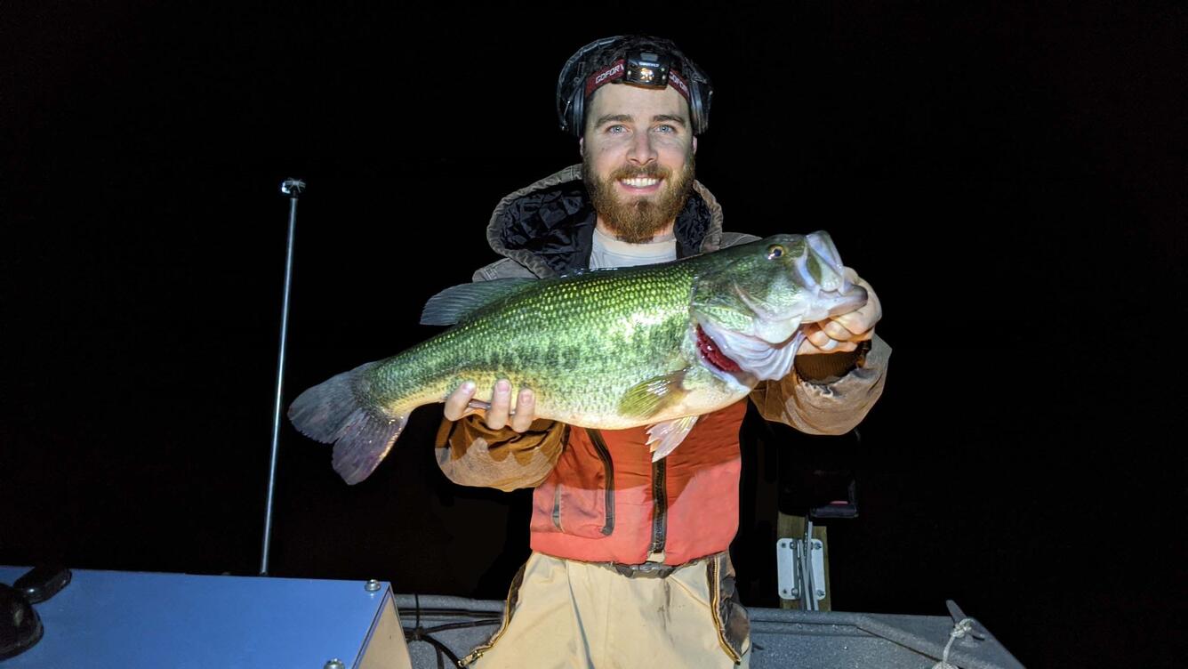 Researcher is holding a largemouth bass