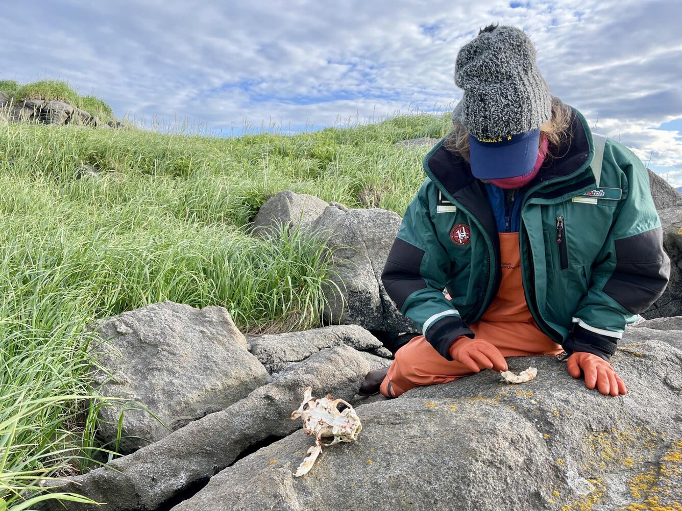 A person sitting on a rock and touching a sea otter jawbone while wearing orange gloves.