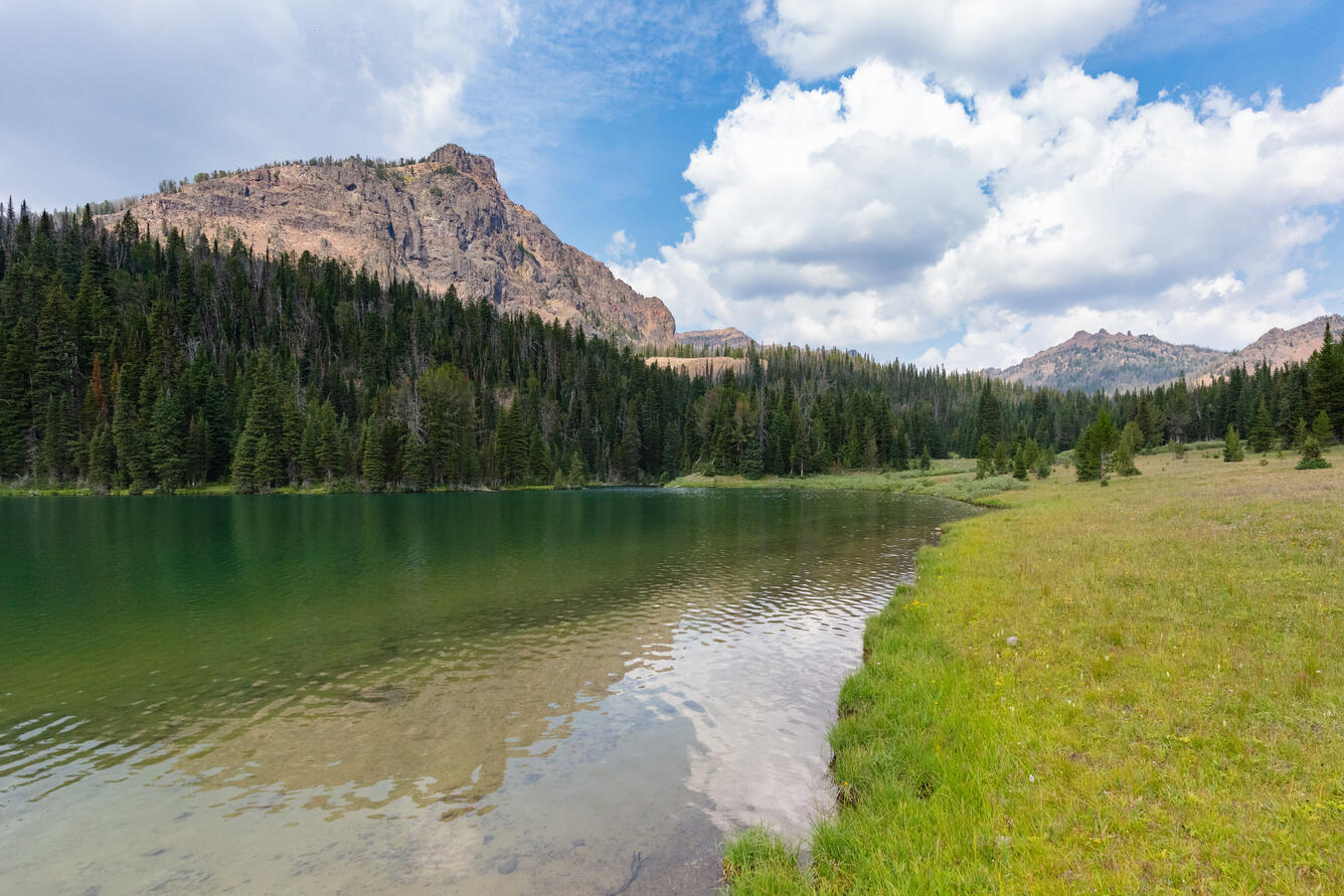 Looking towards mountain peaks from shore of Knox Lake