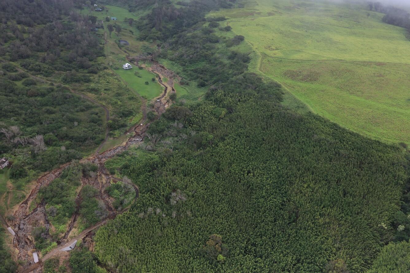 Photo of several landslide source areas in green hillside 