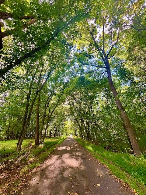 A paved surrounded by mature trees with green leaves. There is spotty sunlight peeking through the canopy cover and a gate at