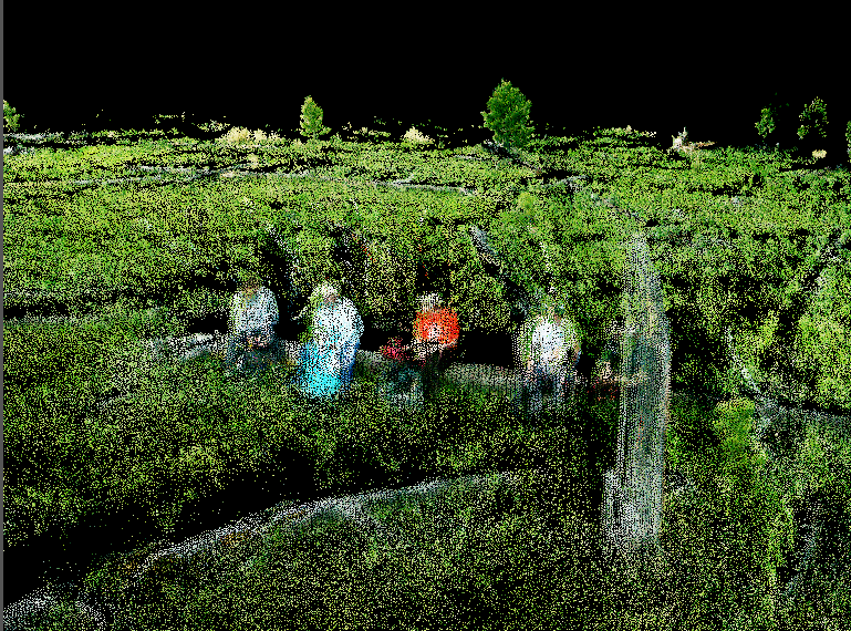 Fuzzy photo of four people in a field