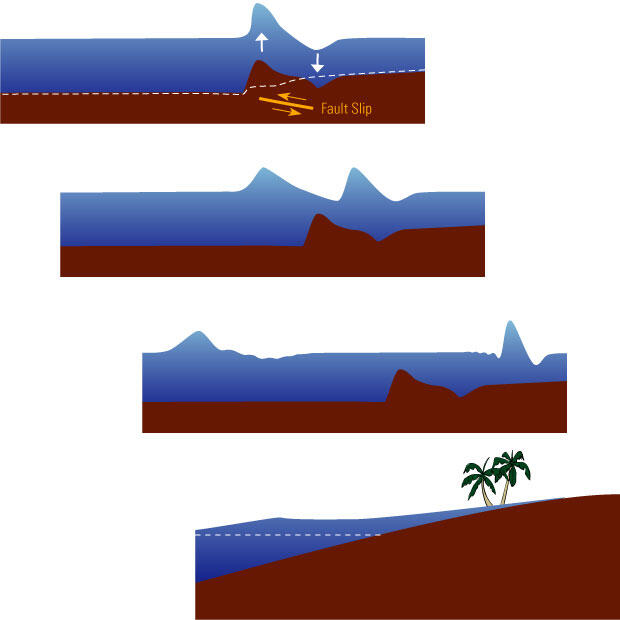 Four illustration panels show a simplistic view of how a tsunami wave starts and then moves through the ocean.