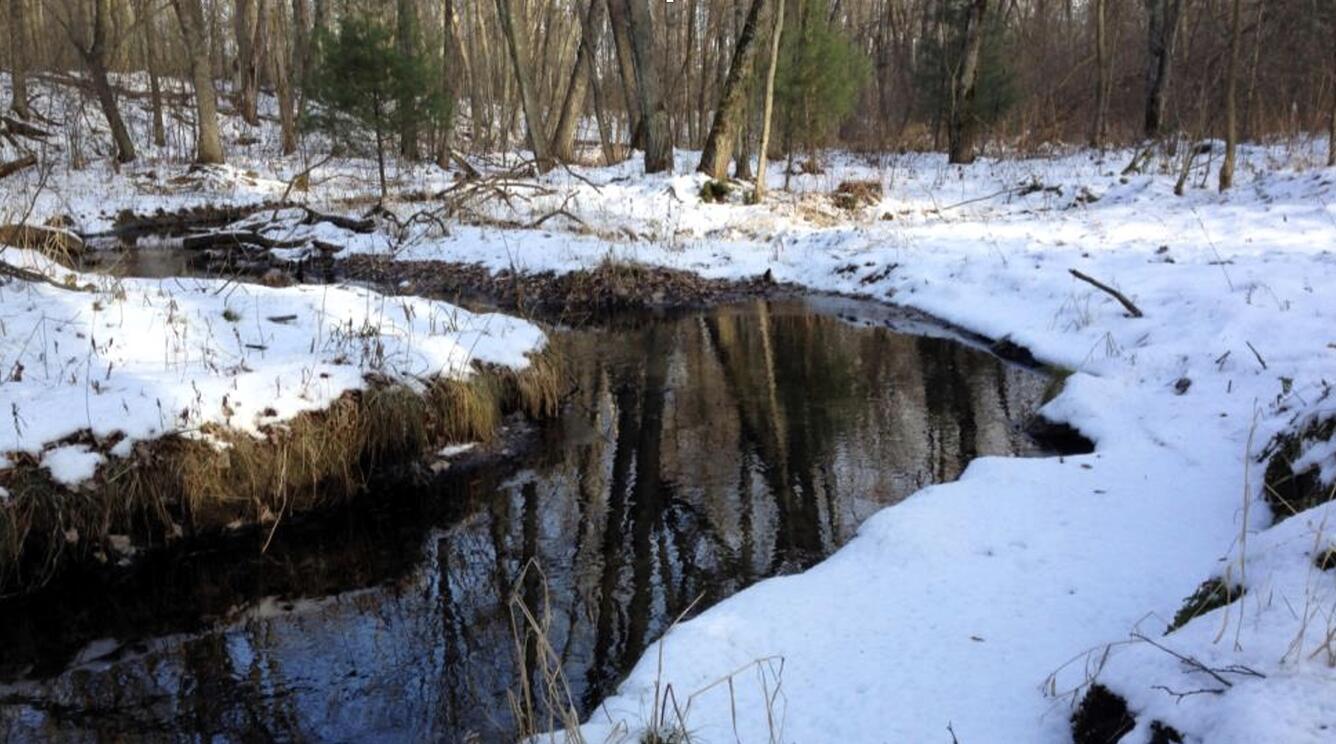 Bend in a river in a woods, banks covered in snow