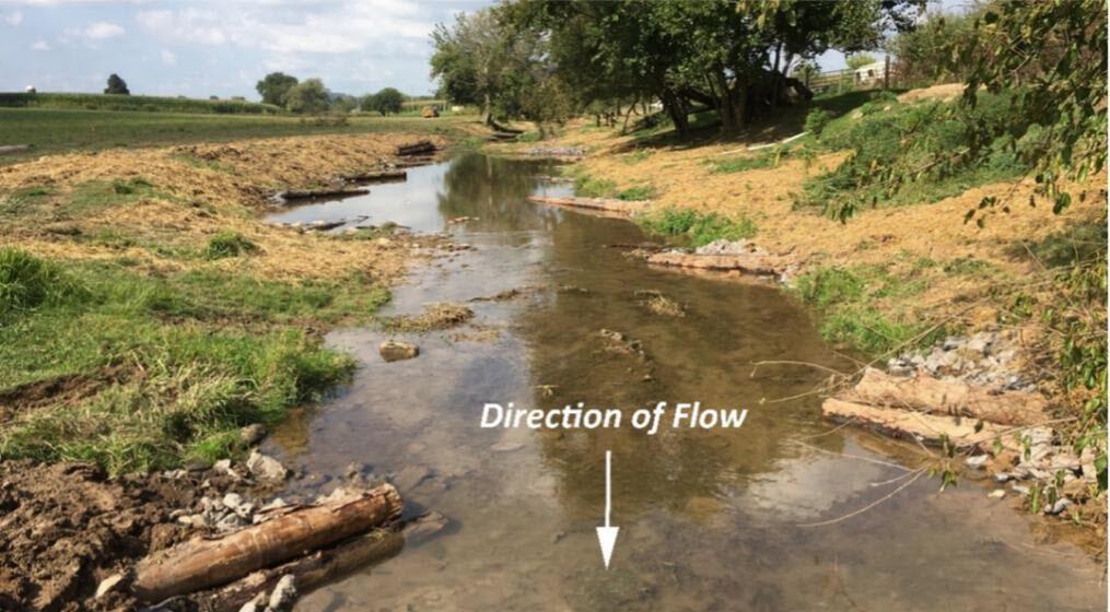 Photo from center of stream looking upstream with flat land to the left and a slight hill on the right side