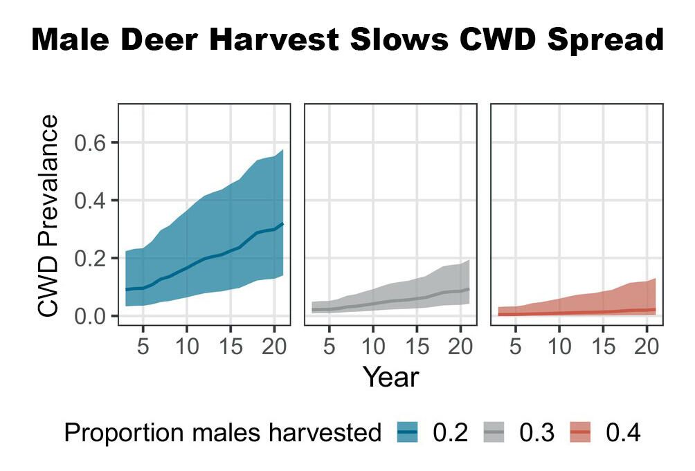 3 line charts showing the proportion of male deer harvested (.2, .3, .4) to CWD prevalence over 20 years