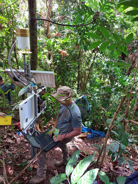 person on a laptop in front of instrument in densely vegetated area