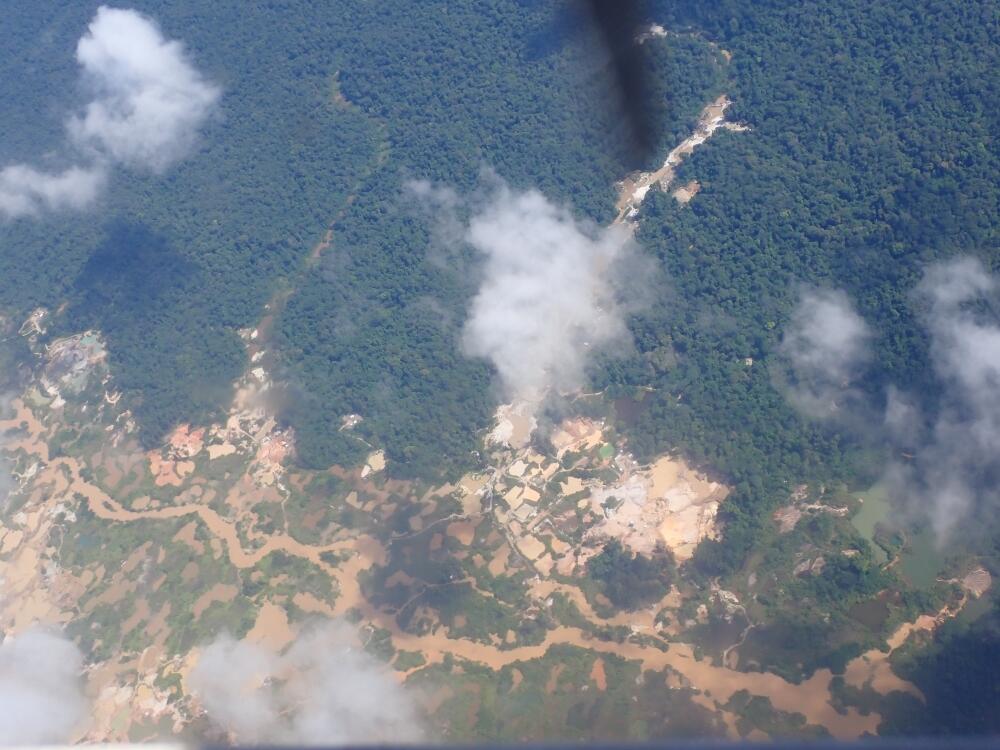 Aerial view of a jungle. 