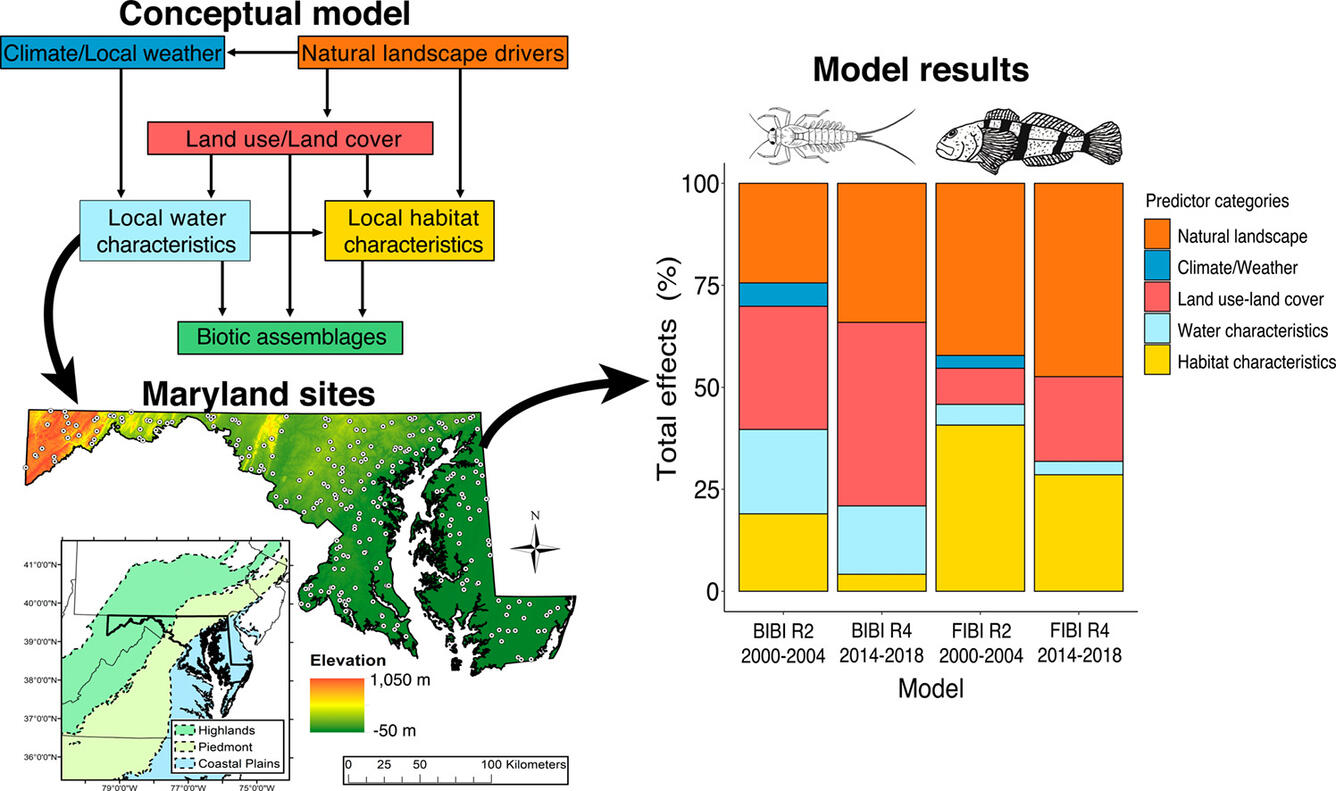 Conceptual model showing the potential pathways through which variables could affect benthic macroinvertebrate and fish