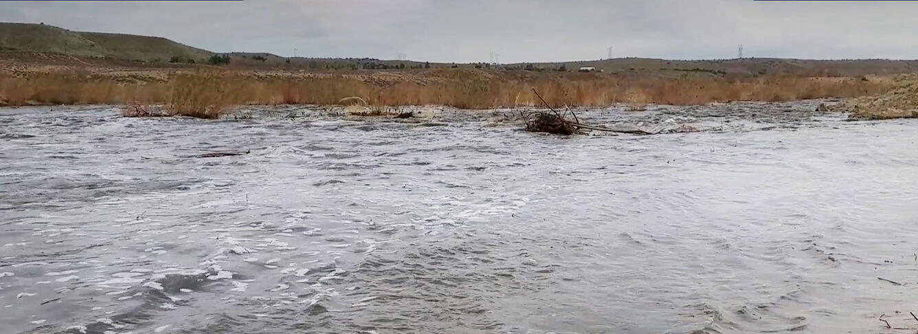 Mojave River during high flow