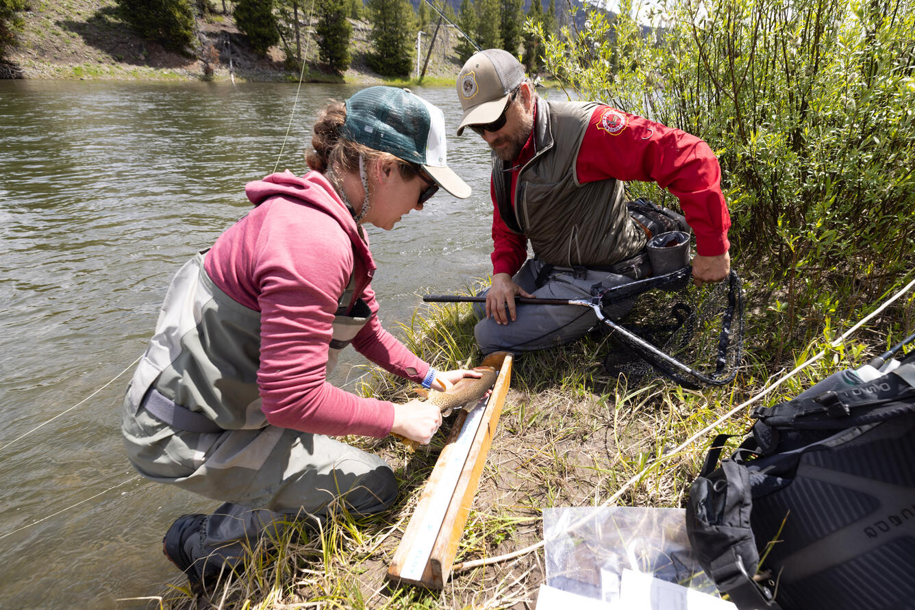 Michelle Briggs shows an angler how to measure a fish