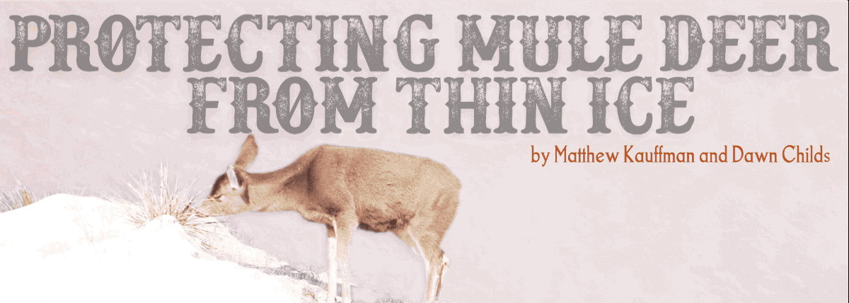 Protecting Mule Deer from Thin Ice