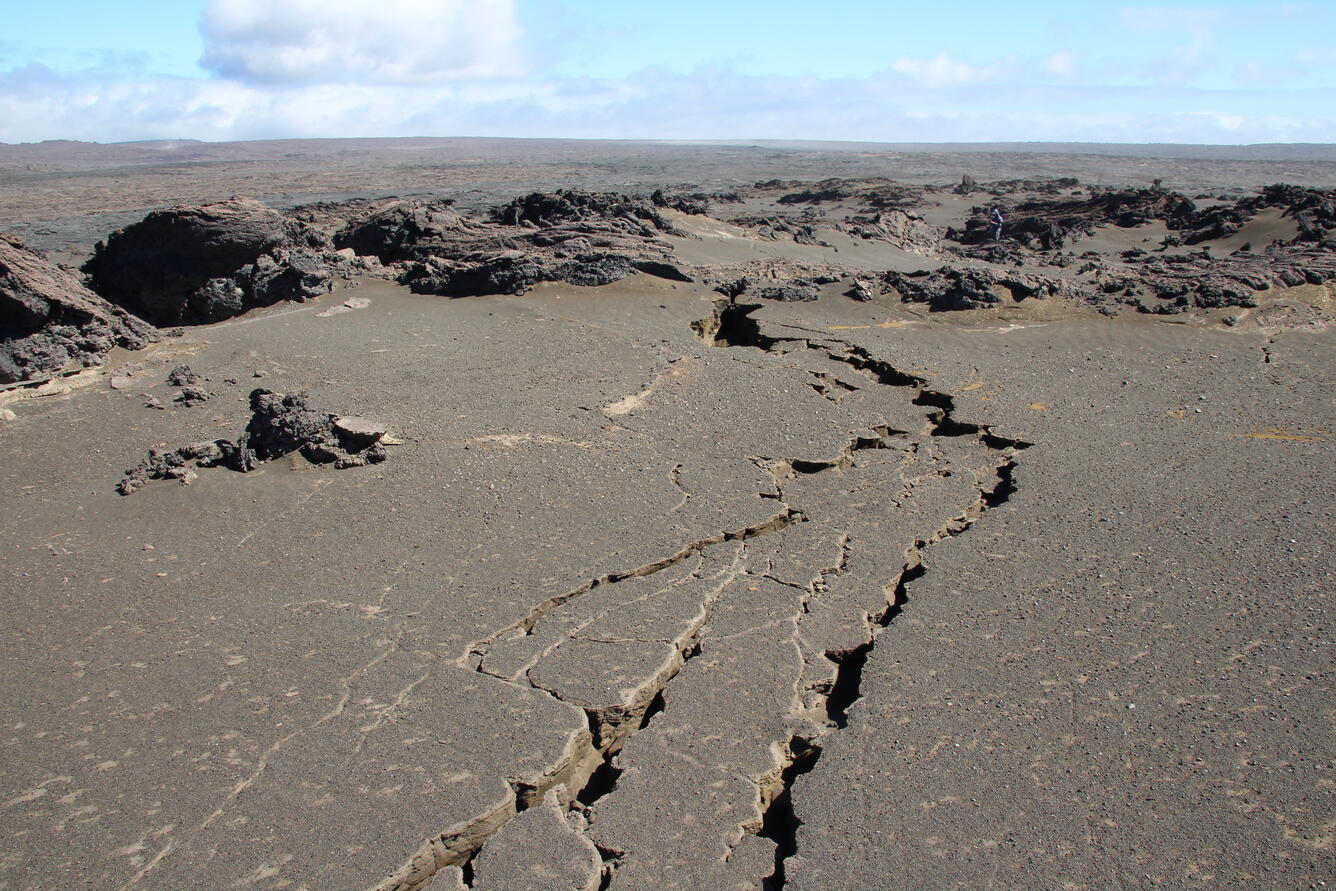 Color photograph of ground cracks