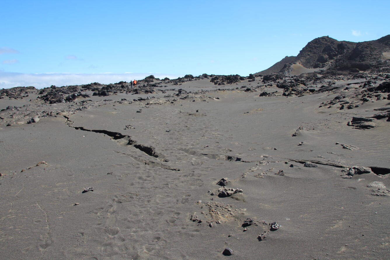 Color photograph of trail cross-cut by cracks