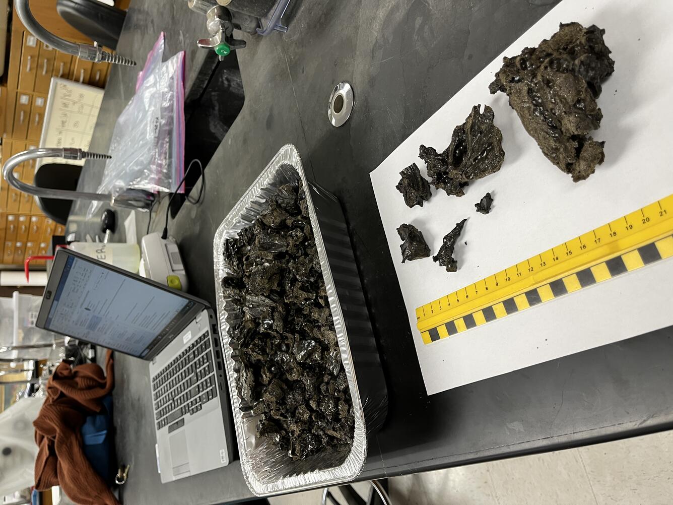 Color photograph of lava samples being prepped in a lab next to a laptop