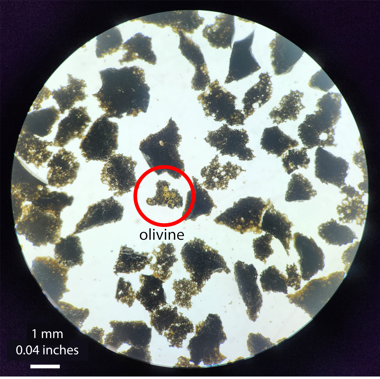 Color photograph showing crystals under magnification