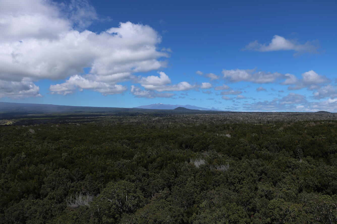 Color photograph of volcanic slopes and mountains