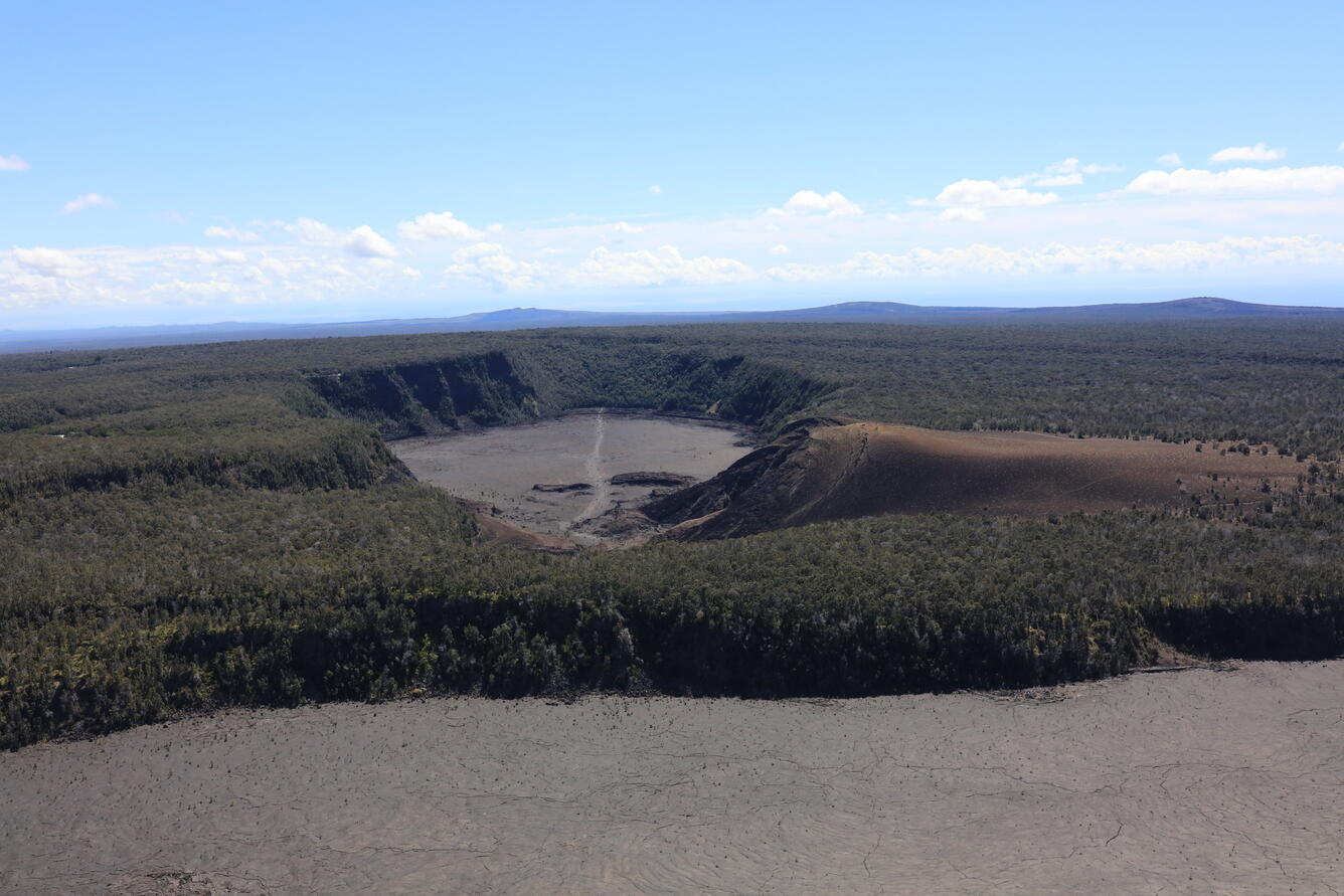 color photo looking toward an old eruption site from the 1980s with a clear hiking trail across it worn by visitors. 