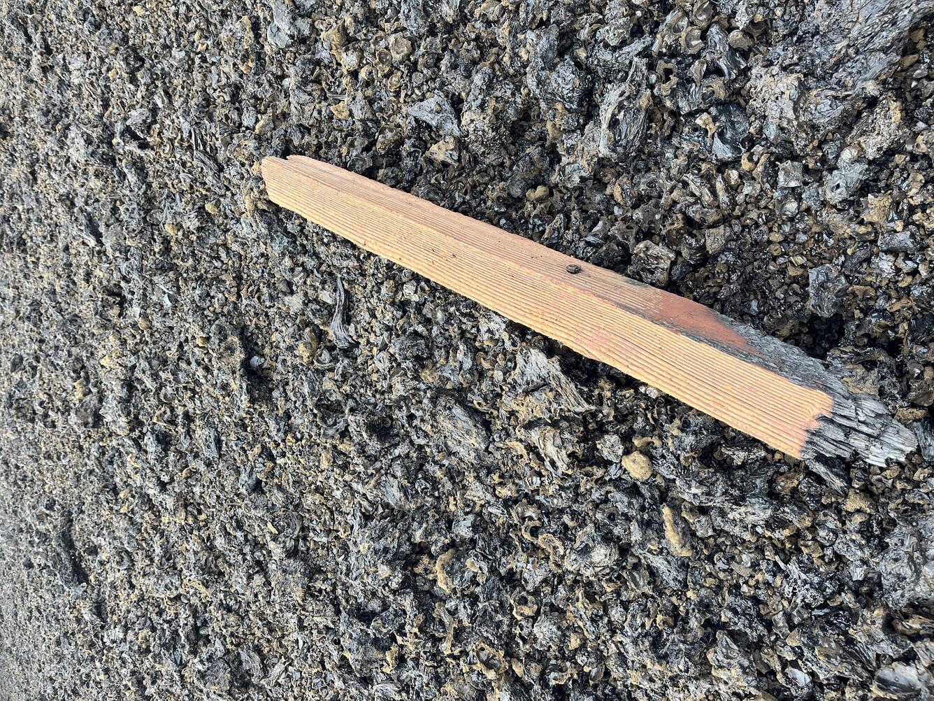 Color photograph of damaged post