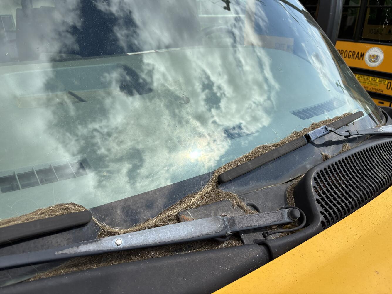 Color photograph showing volcanic material accumulated on vehicle