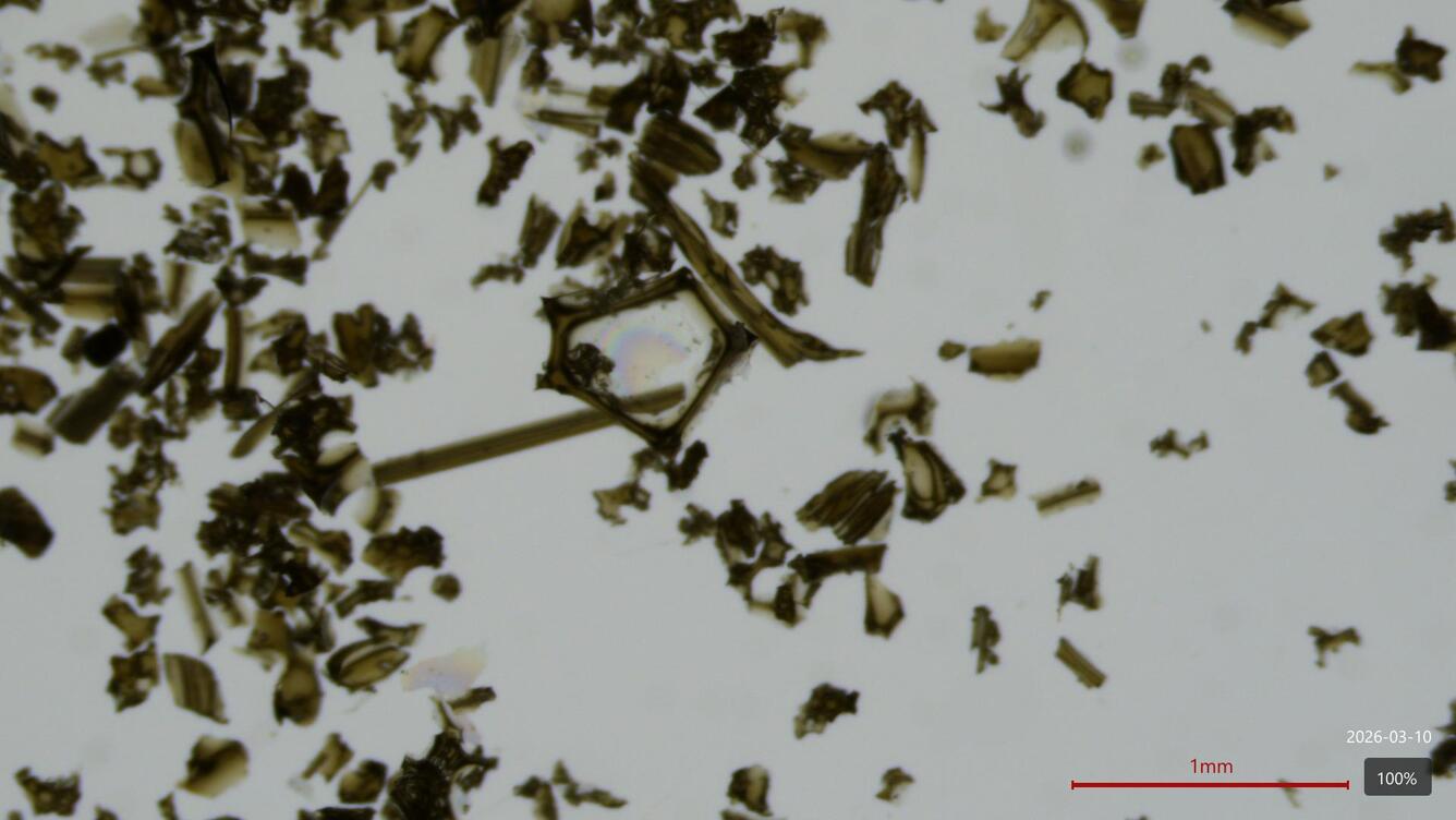 Color microscope photograph of ash