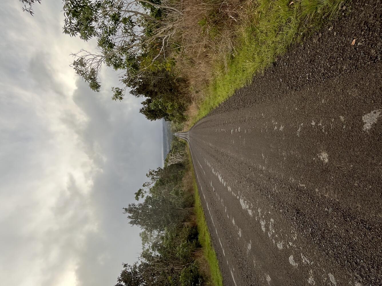 Color photograph of road covered with volcanic fallout