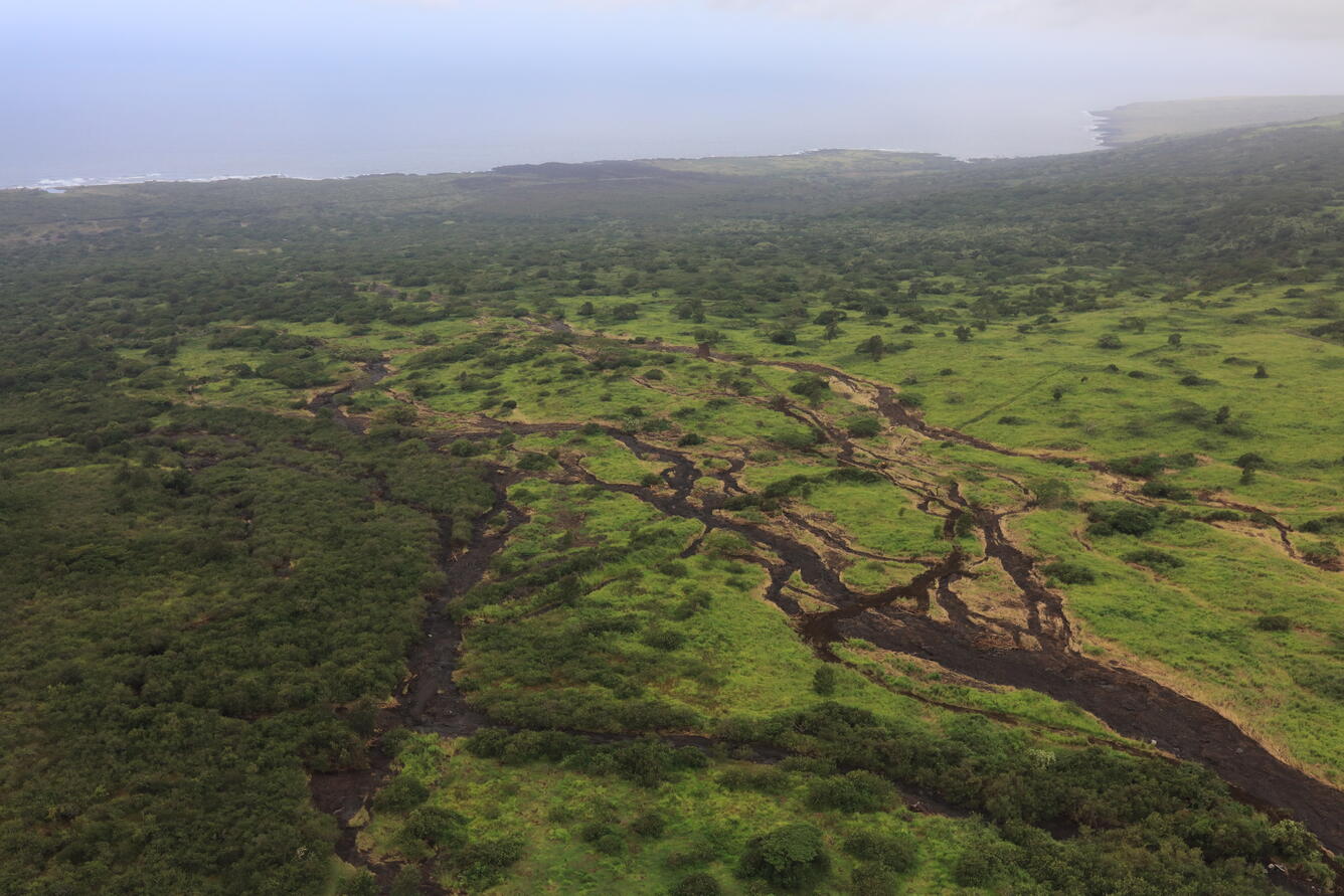 Color photograph of green pasture area with braided scours from flooding