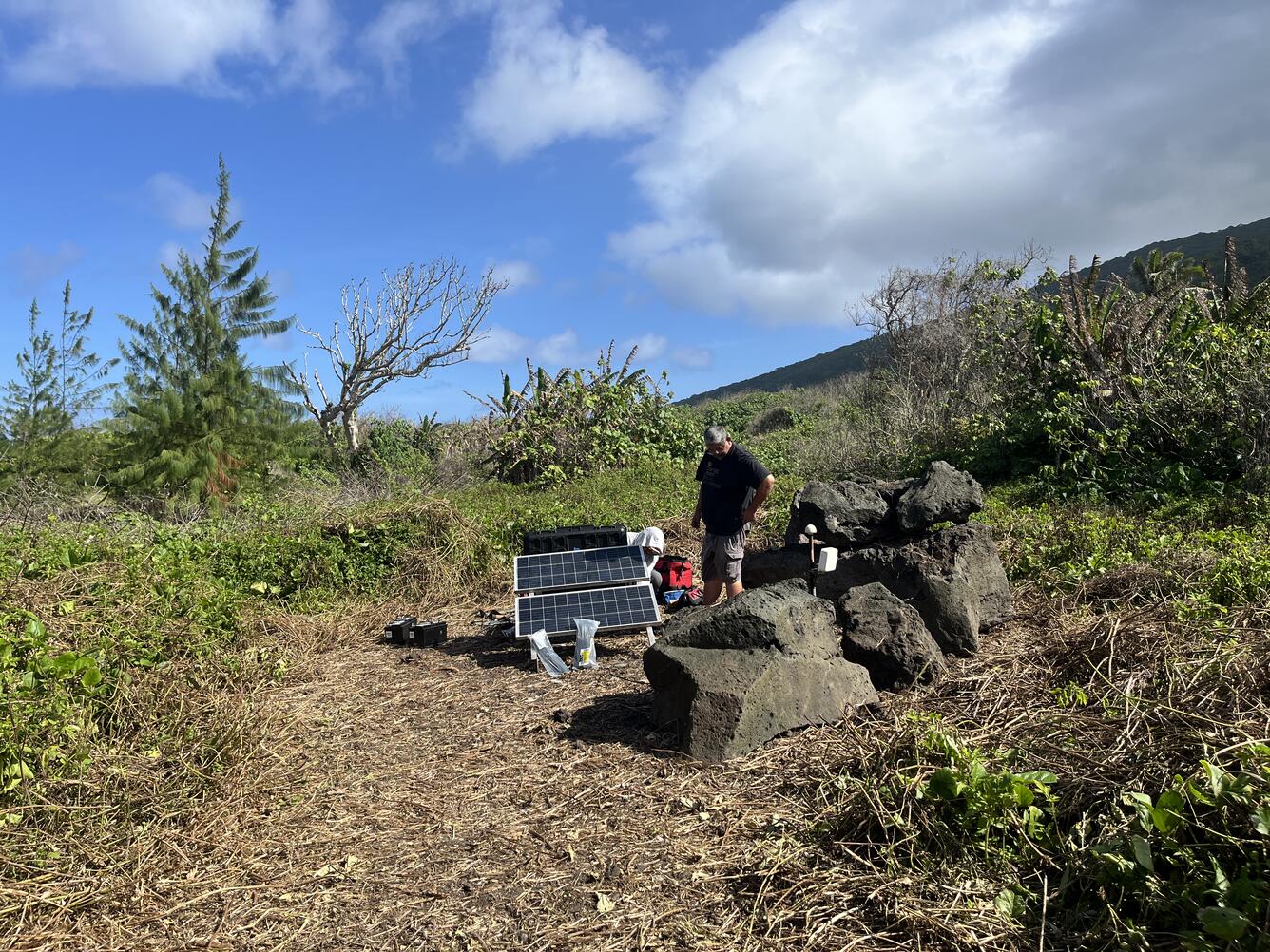 Color photograph of scientists at monitoring station surrounded by vegetation