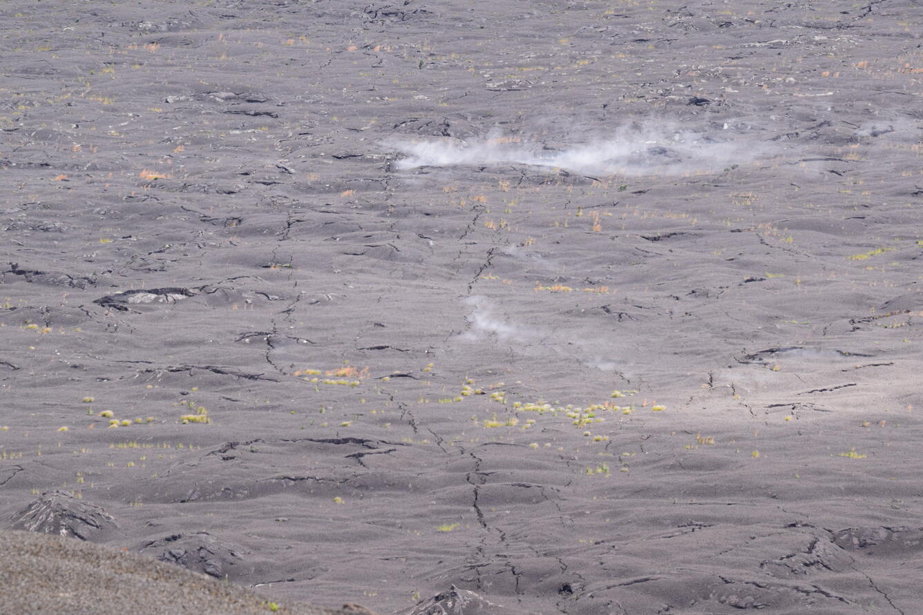 Color photograph of steaming ground crack