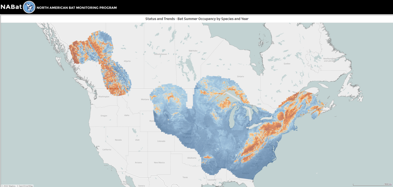 Average bat summer occupancy shown by a gradient of blue to red 