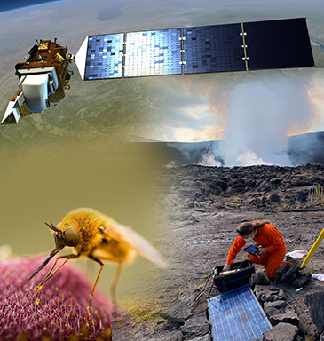 Image Collage of Landsat, pollinator, and volcanologist