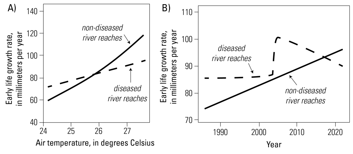 Two graphs side by side