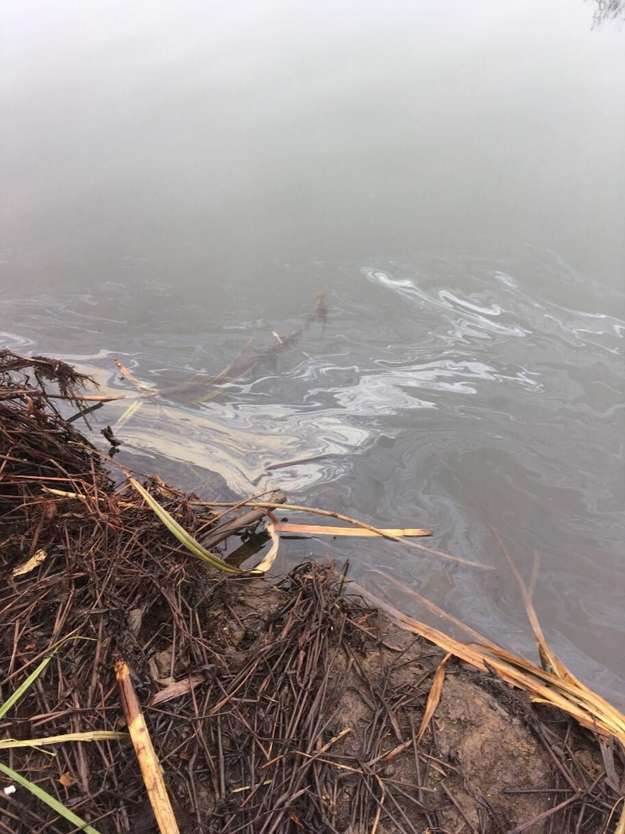 picture of an oil spill