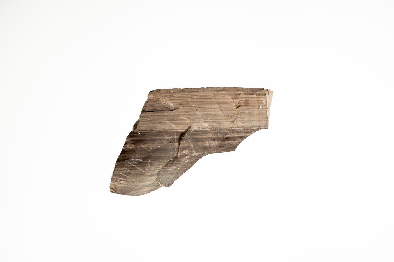 High-definition image of oil shale specimen with fine-grained texture and dark coloration.