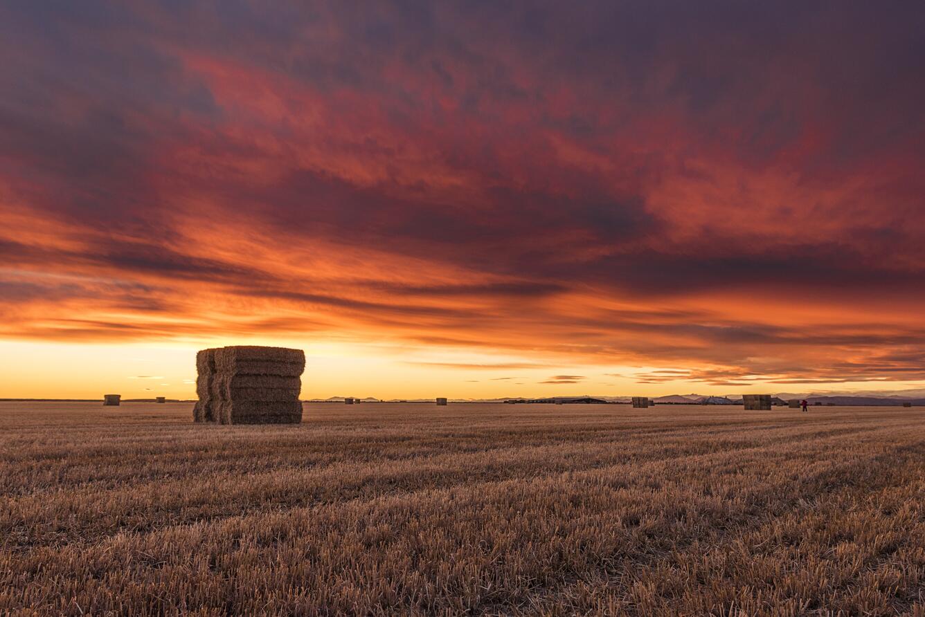 Image of atmosphere giving off orange glow over a field of baled hay