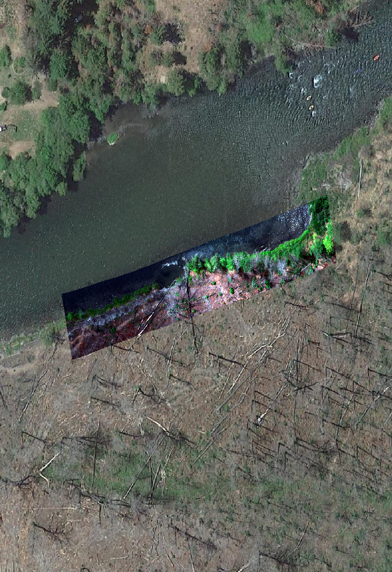 Google satellite base map with overlapping hyperspectral imaging