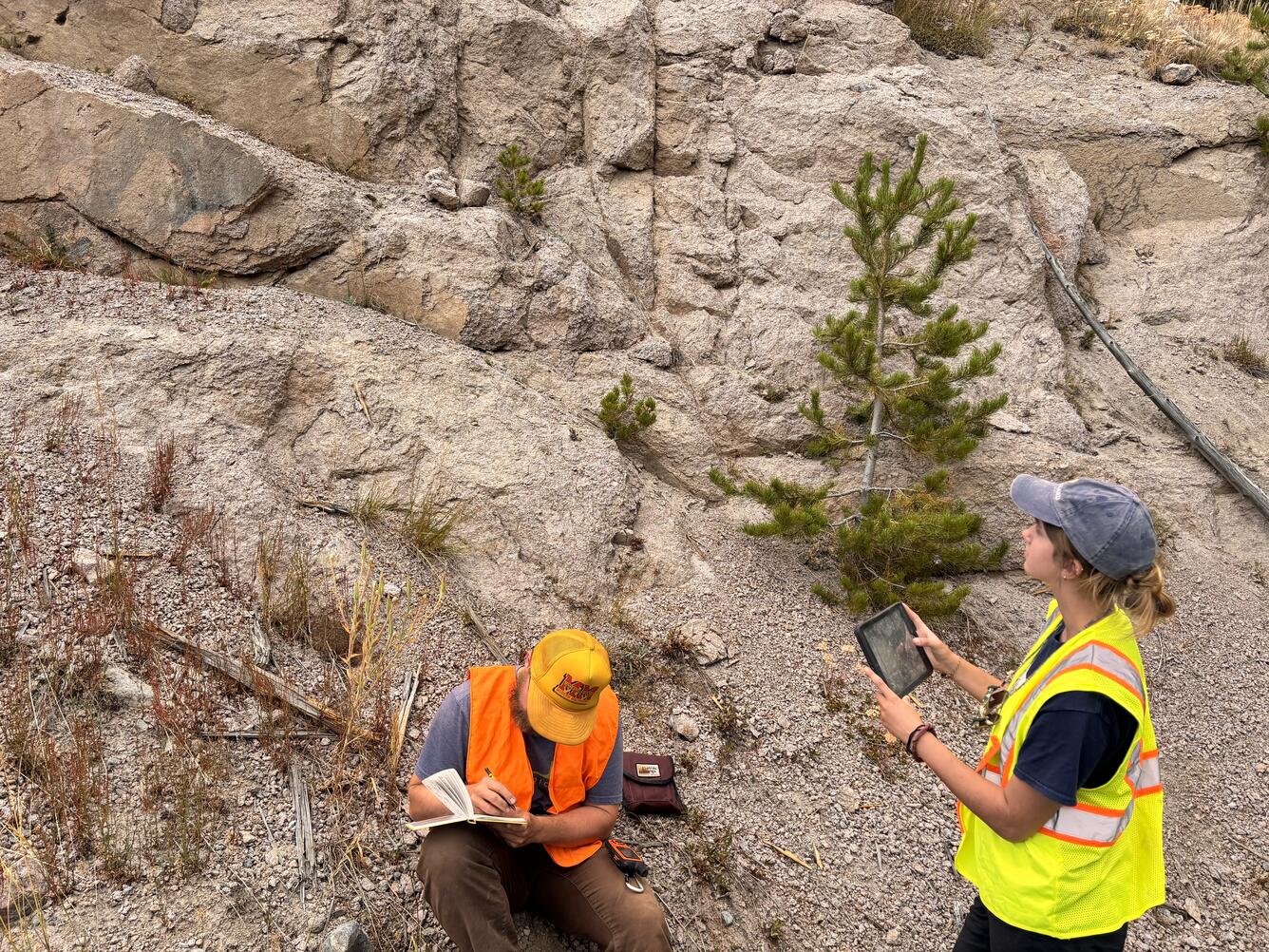 A young man and young woman examine a tan-colored rock outcrop with some grasses and a small tree