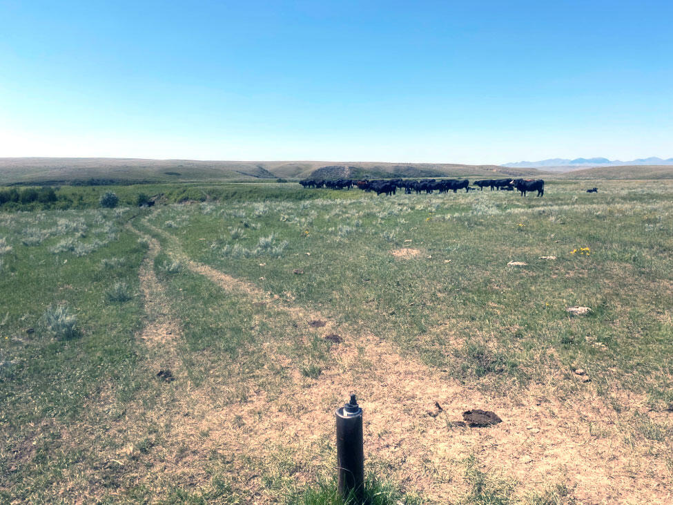 USGS monitoring well on the Fort Belknap Reservation
