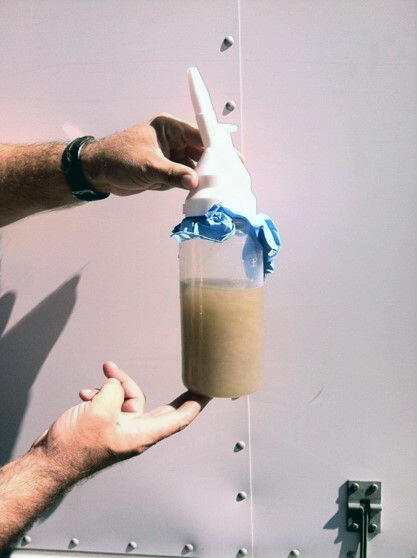 A sediment sample taken from Connecticut River