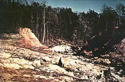 View looking from the lake bed downstream.