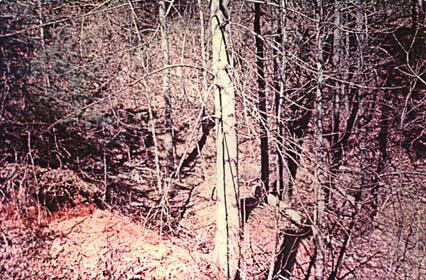 Two-foot scarp on downstream side of Kelly Barnes Dam, in lower left portion of picture.