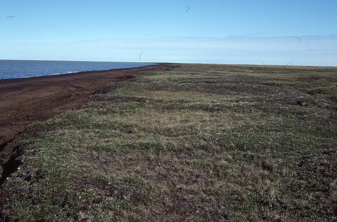 Northwest Island Lake. Part of the Teshekpuk Lake Special Management Area located in the NPR-A in Alaska