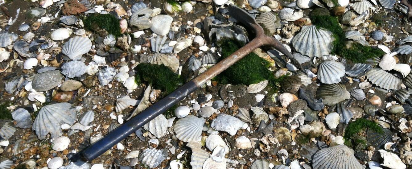 Pickaxe and shells