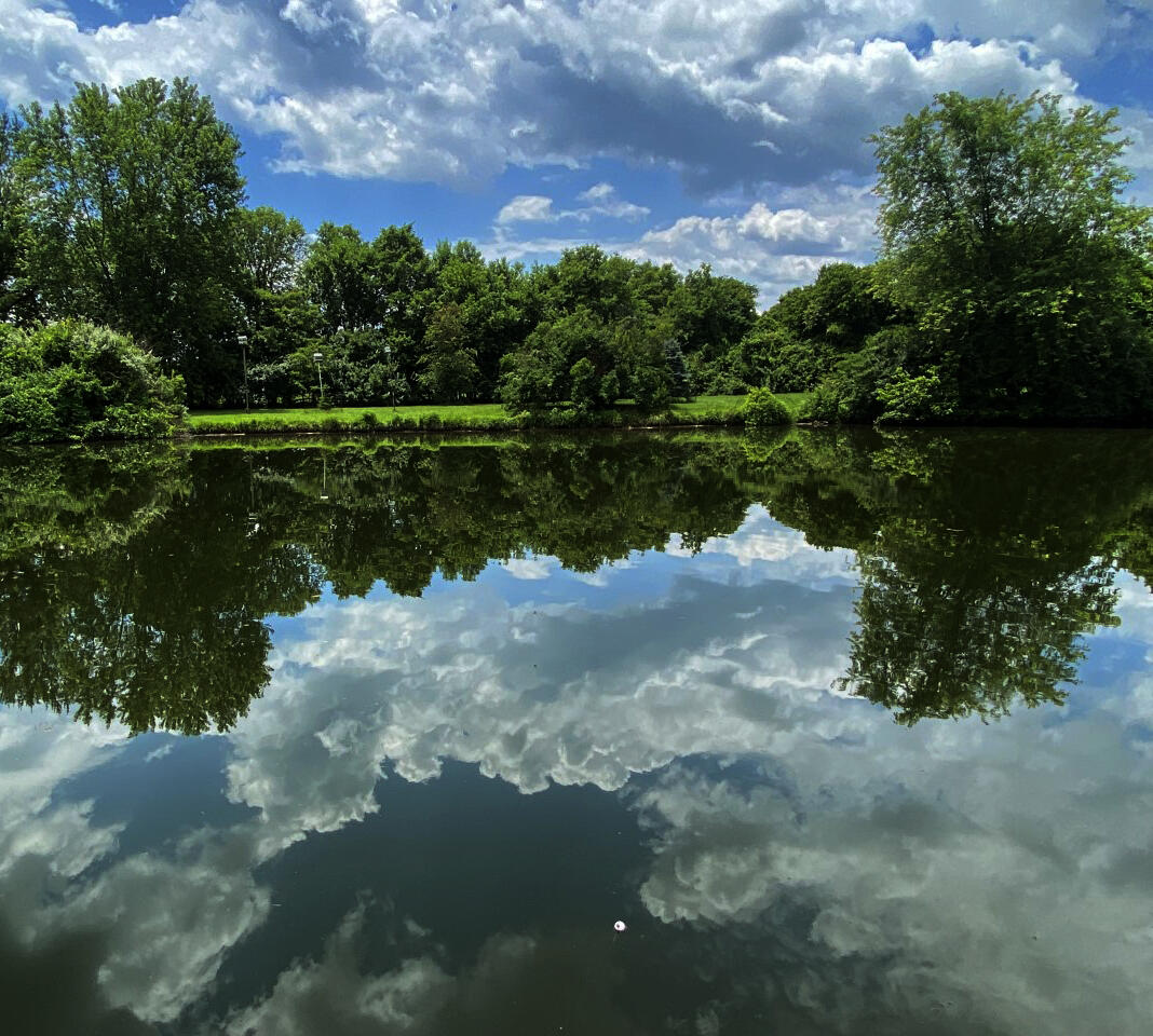 Photograph of clouds and trees reflected on the surface of a pond.