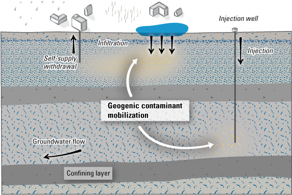 Illustration of geogenic contaminant mobilization