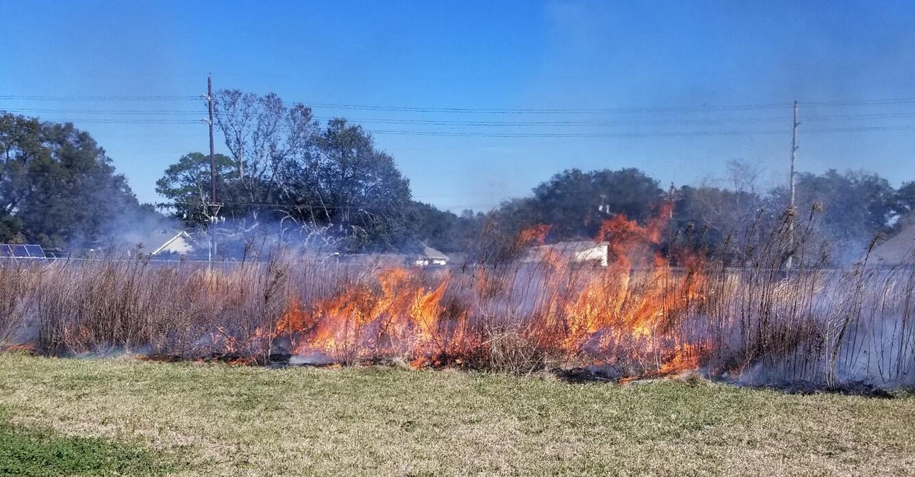 Controlled burn of restored coastal prairie at the Wetland and Aquatic Research Center in Lafayette, LA