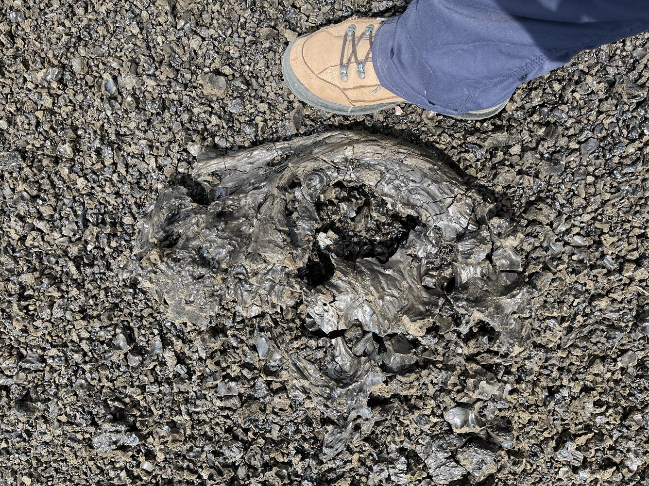 Color photograph of shoe on ground