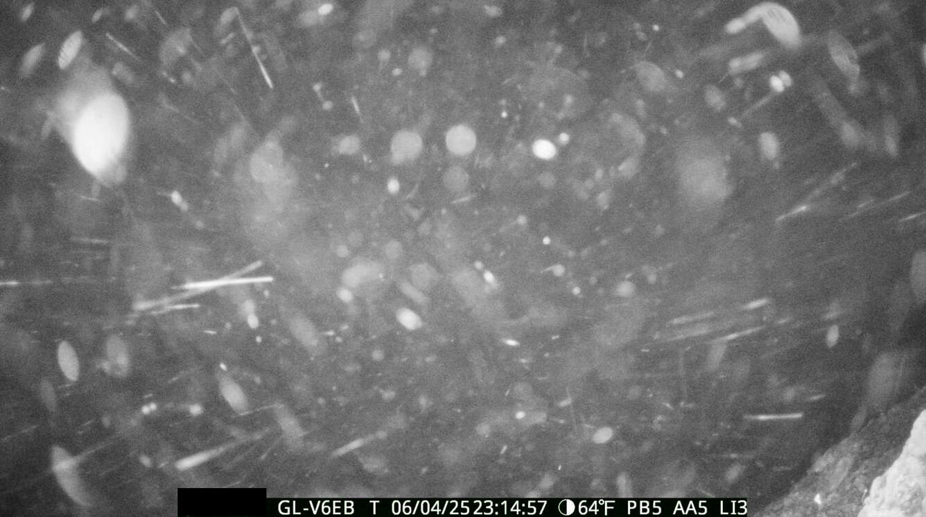 Black and white photograph showing volcanic particles falling near a webcam