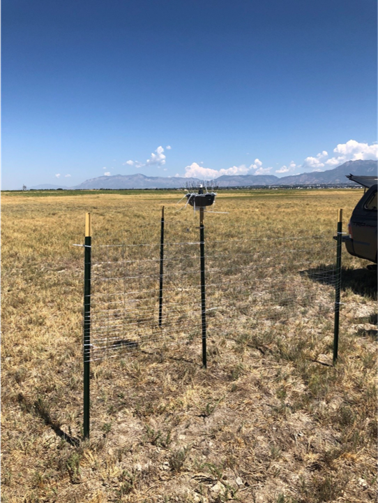 Deployed Air Sampler